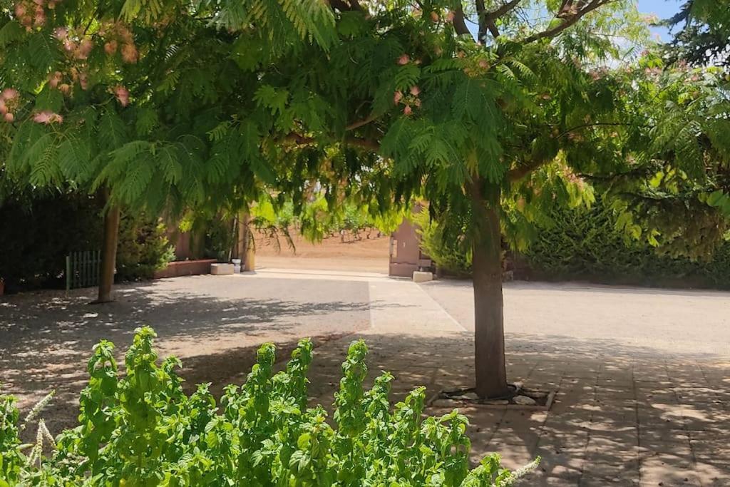 Finca El Pilar Madridejos Bagian luar foto