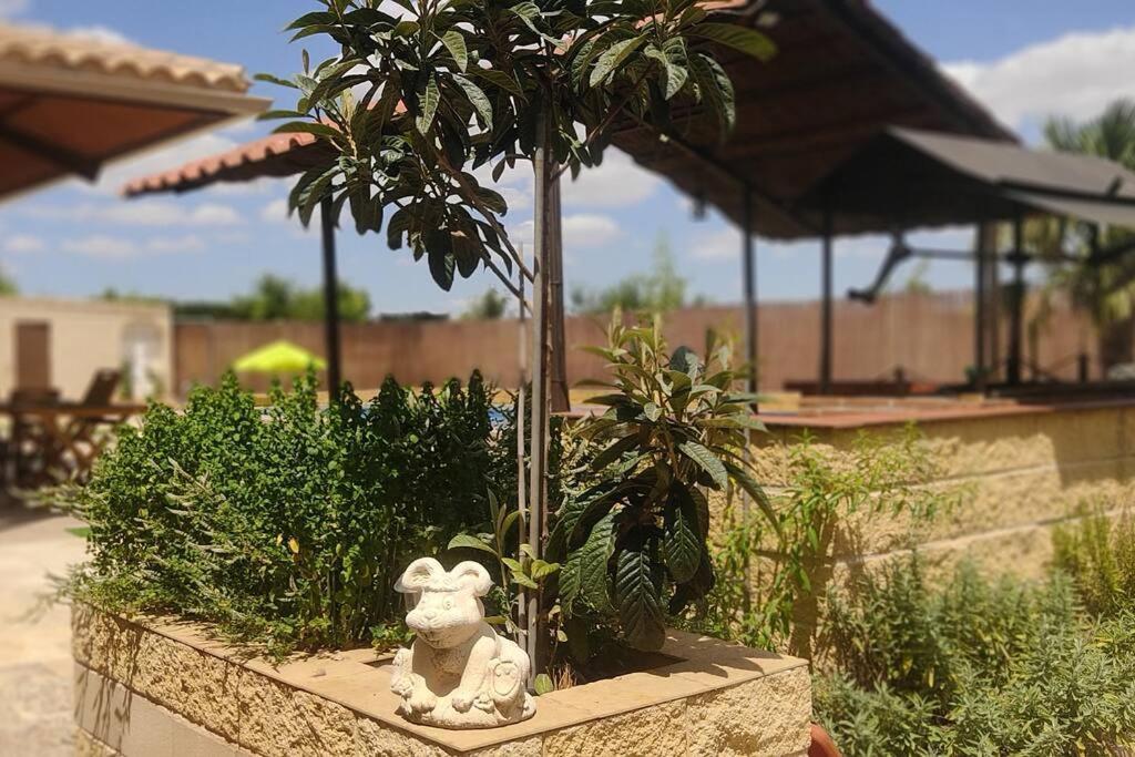 Finca El Pilar Madridejos Bagian luar foto