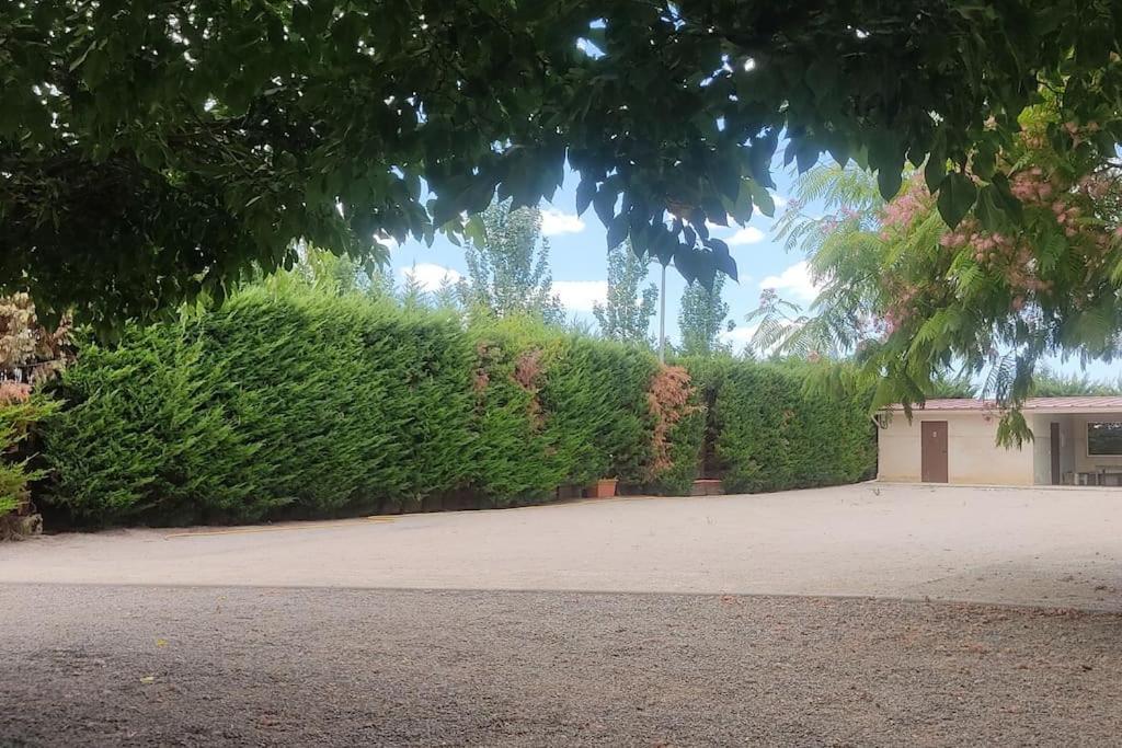 Finca El Pilar Madridejos Bagian luar foto